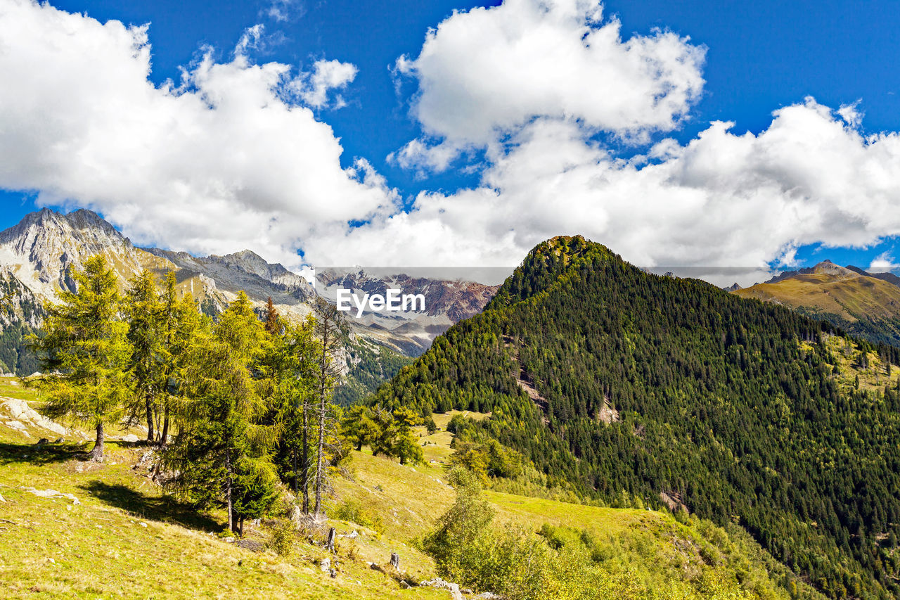 PANORAMIC VIEW OF LANDSCAPE AGAINST SKY