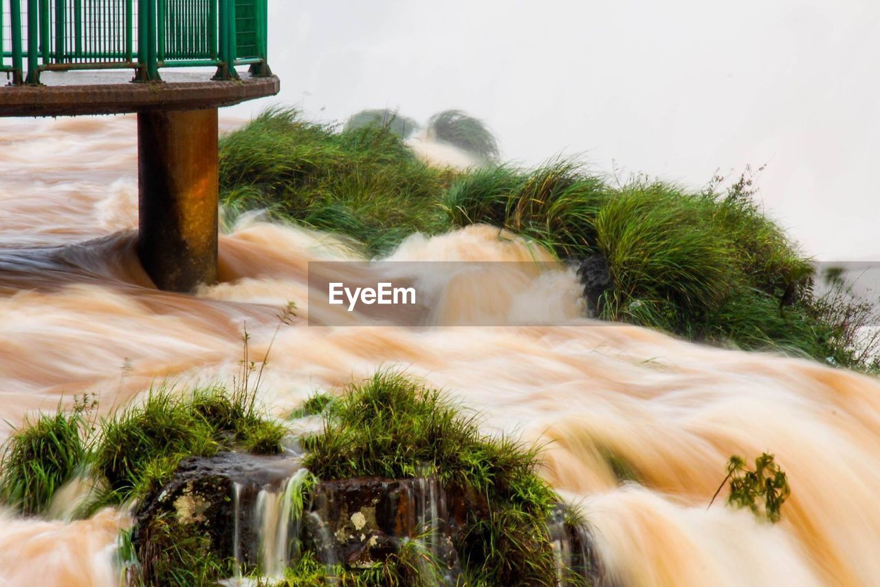 SCENIC VIEW OF WATERFALL IN TREES