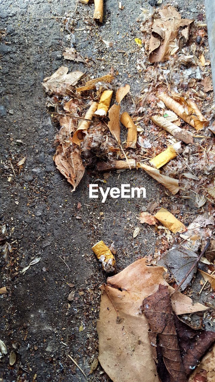 High angle view of cigarette butts on messy road