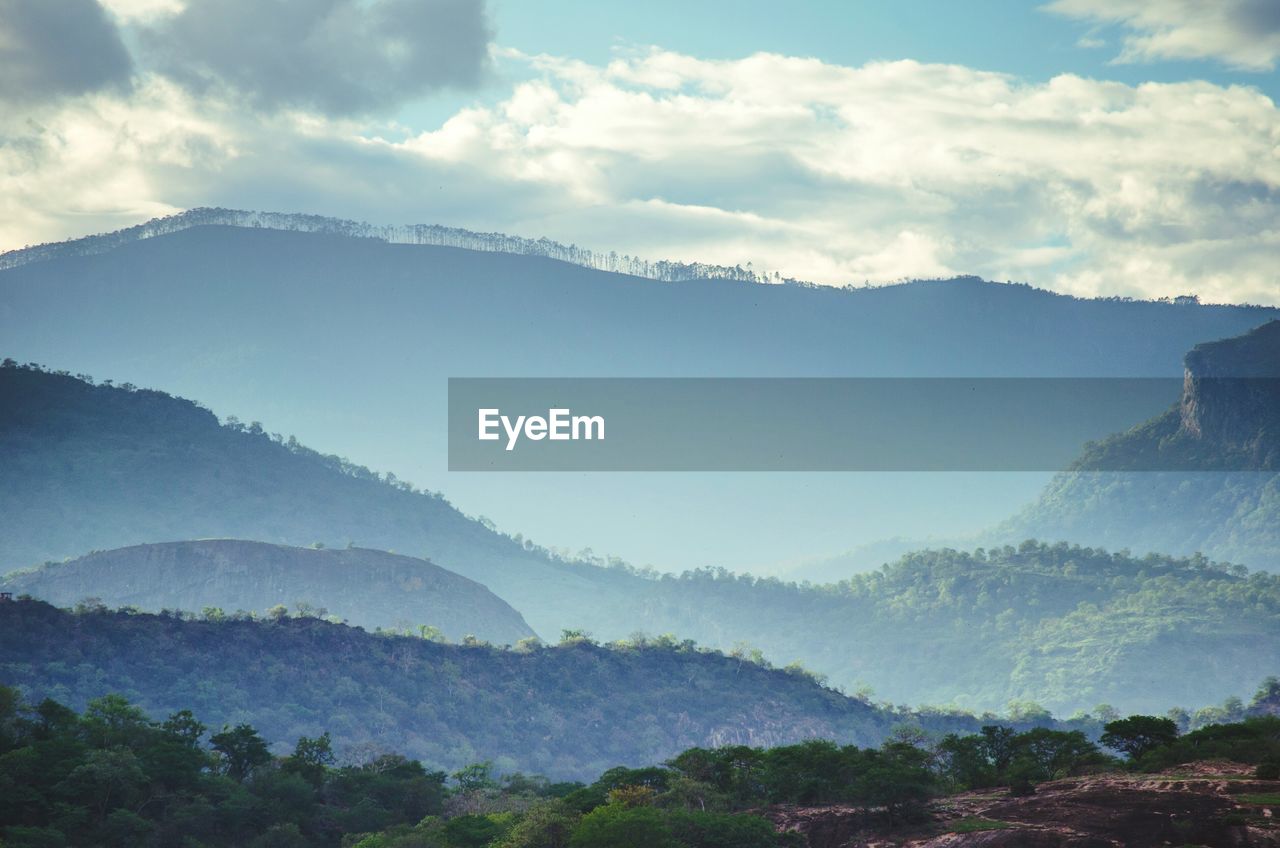 Trees on mountain against cloudy sky