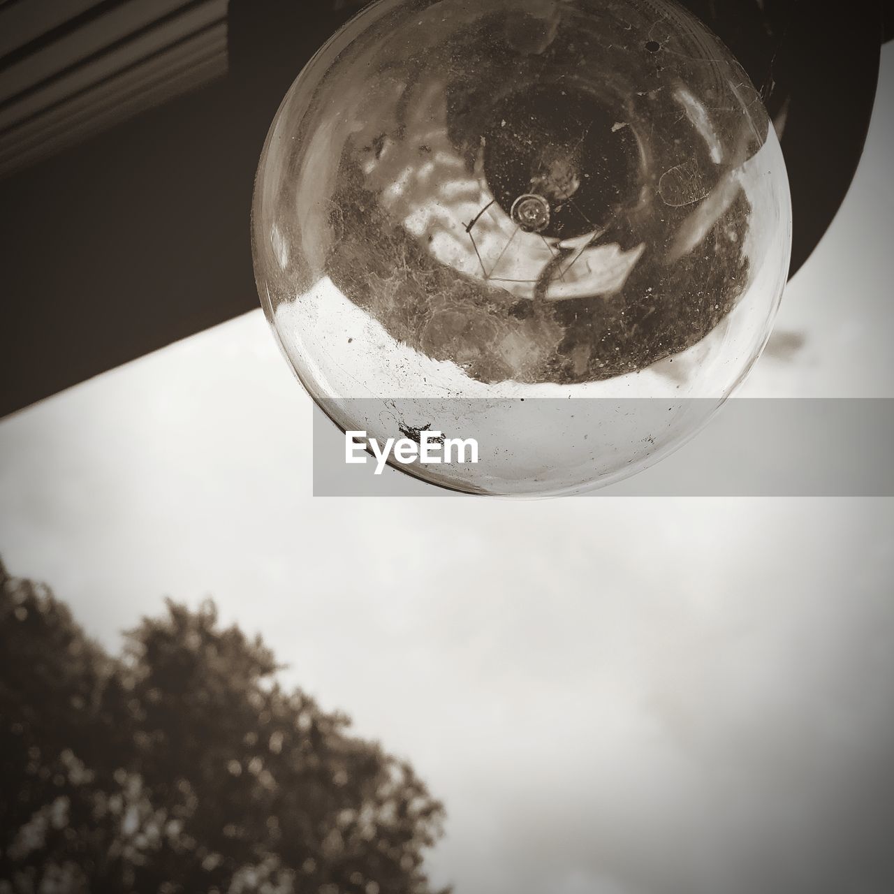 LOW ANGLE VIEW OF CRYSTAL BALL HANGING AGAINST TREES