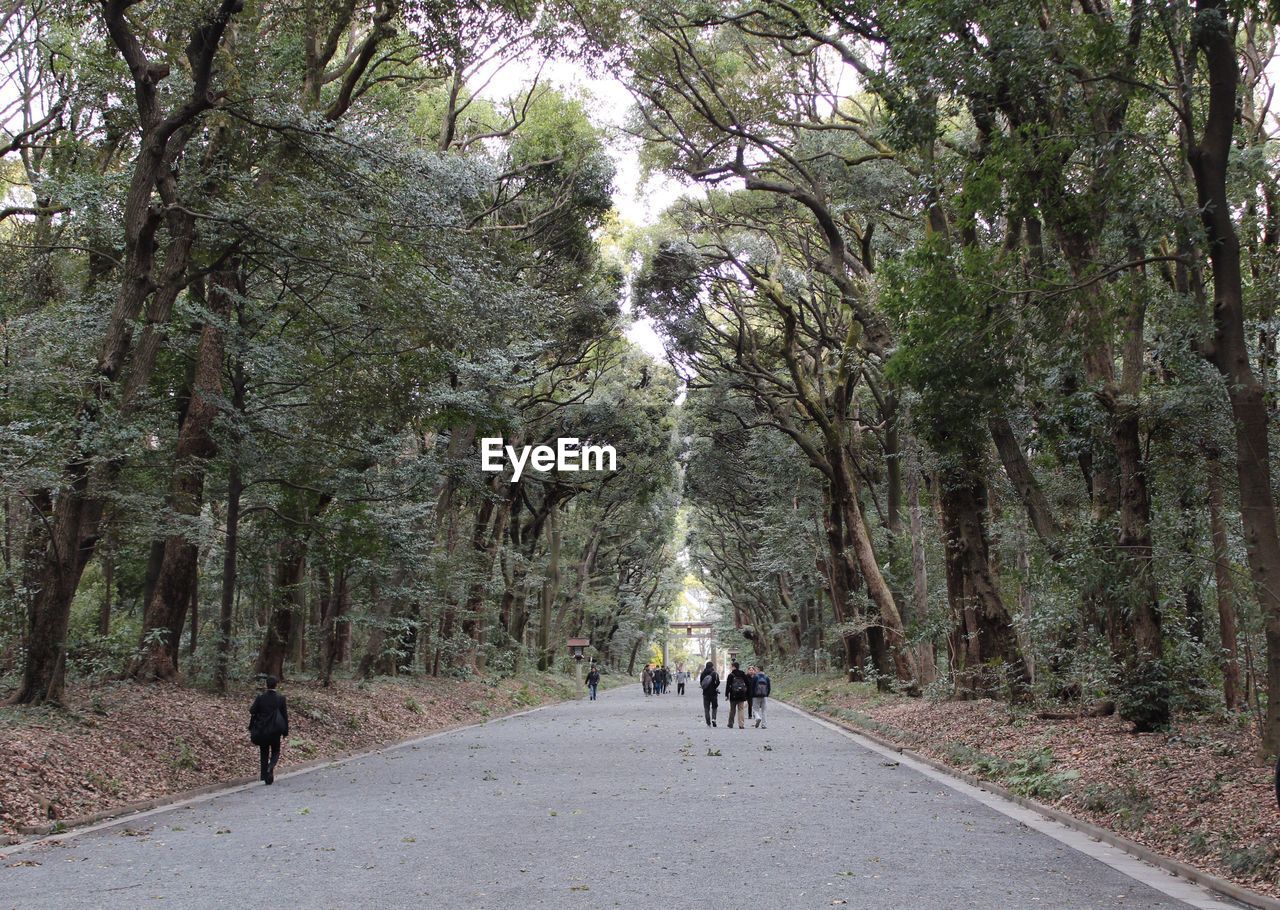 PEOPLE WALKING ON ROAD IN FOREST