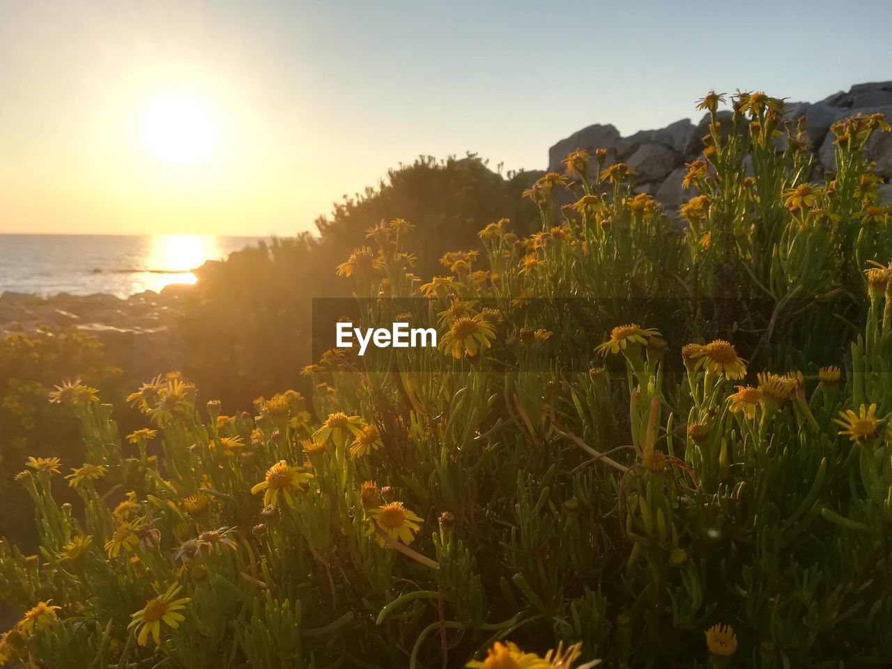 SCENIC VIEW OF SEA AGAINST ORANGE SKY