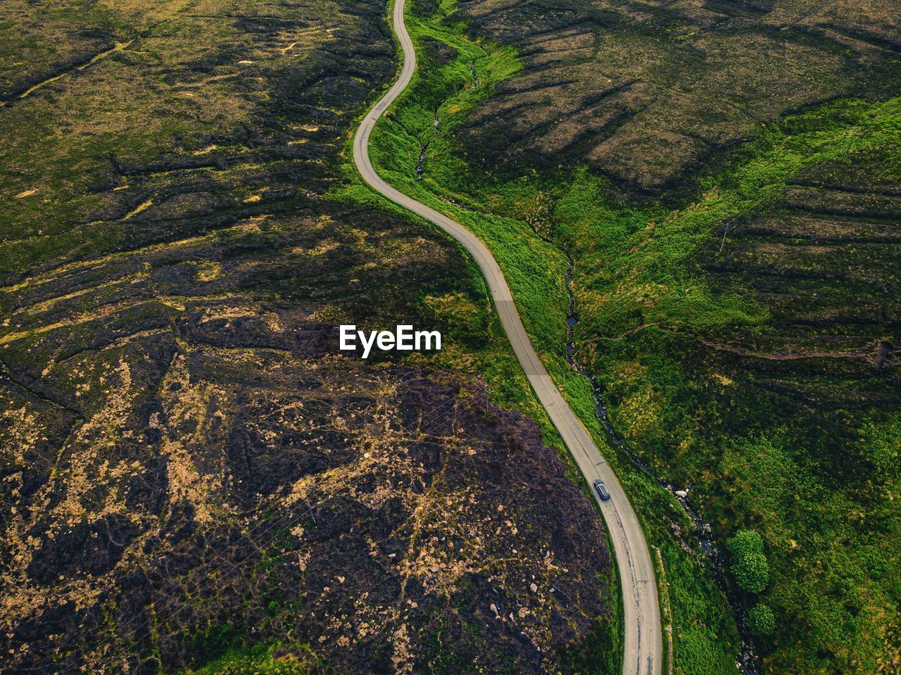 High angle view of road amidst trees