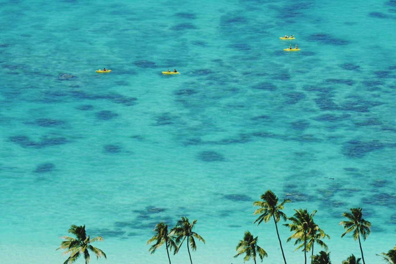 High angle view of canoes in calm water