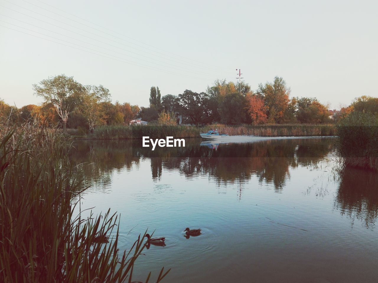 REFLECTION OF TREES IN LAKE AGAINST SKY