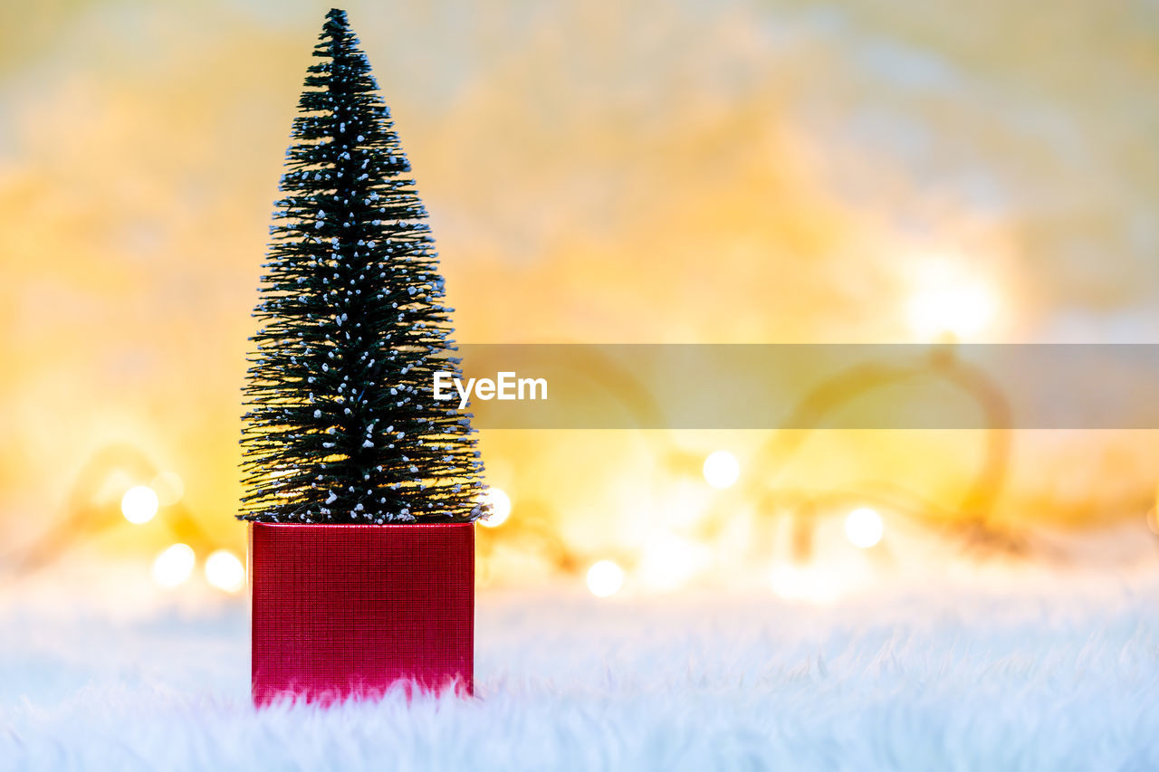 Close-up of small christmas tree on gift against illuminated string lights on rug