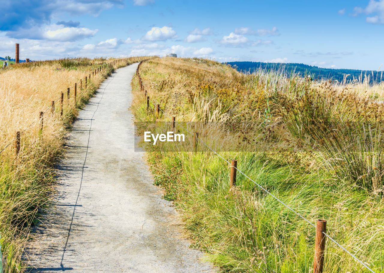 A path at dune peninsula park in ruston, washington seems to lead to the sky.