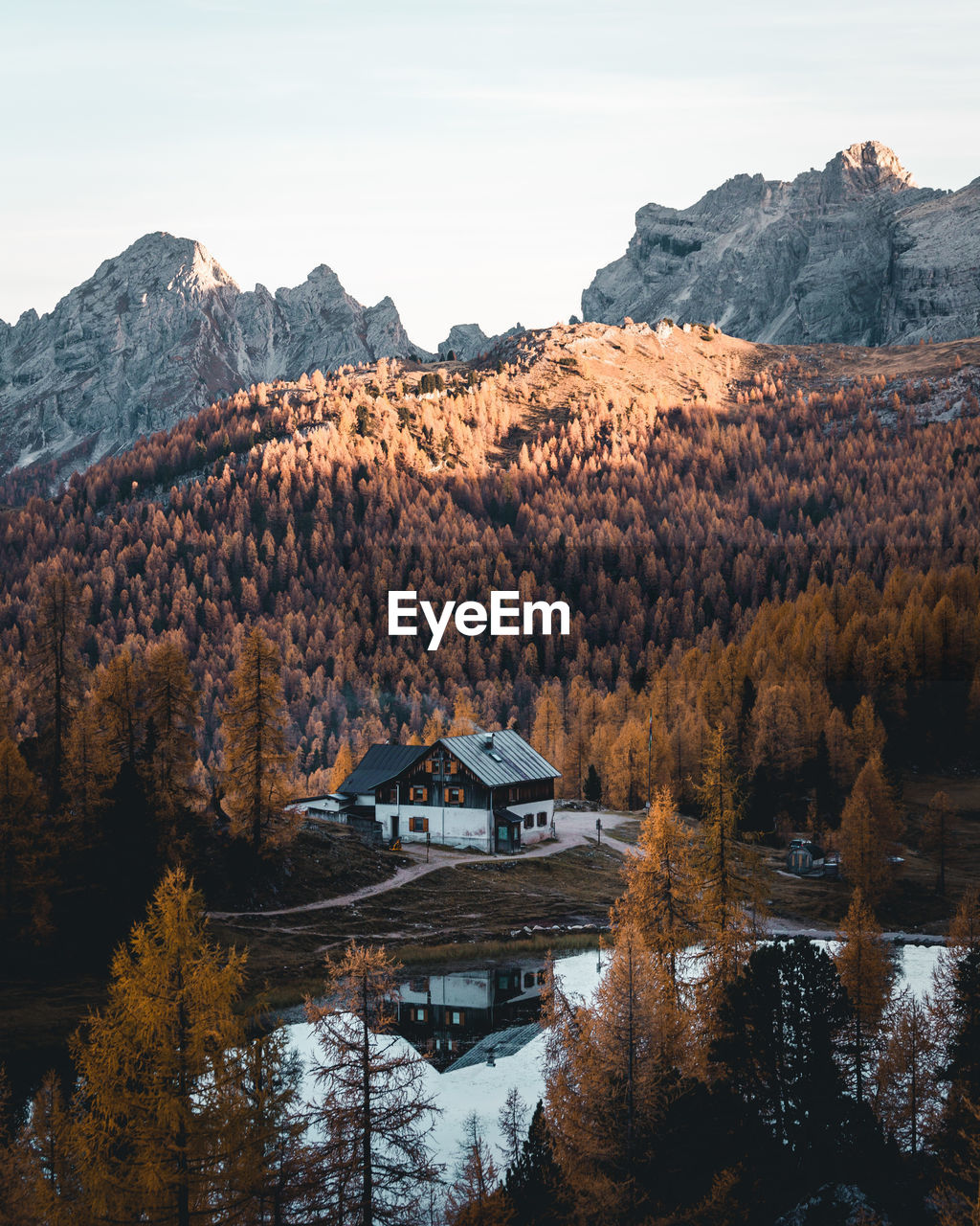 Scenic view of trees by mountains against sky