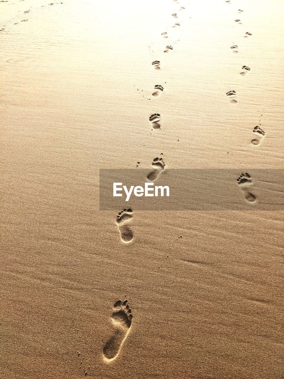 land, sand, beach, footprint, nature, water, no people, tranquility, print, pattern, high angle view, track - imprint, beauty in nature, backgrounds, wet, day, full frame, sea, outdoors, line, sunlight, scenics - nature, tranquil scene