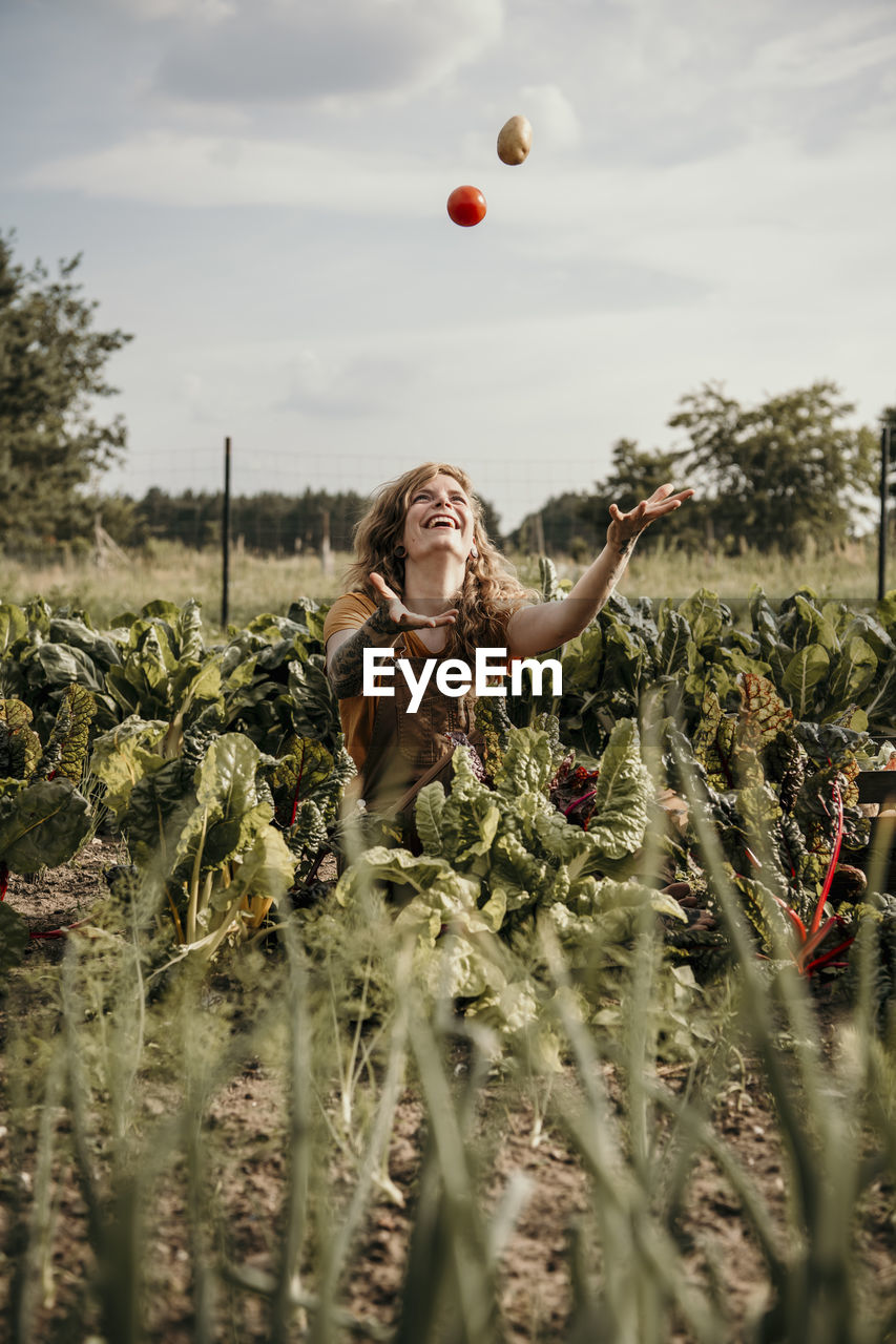 Playful farm worker playing with vegetable while harvesting crop at farm