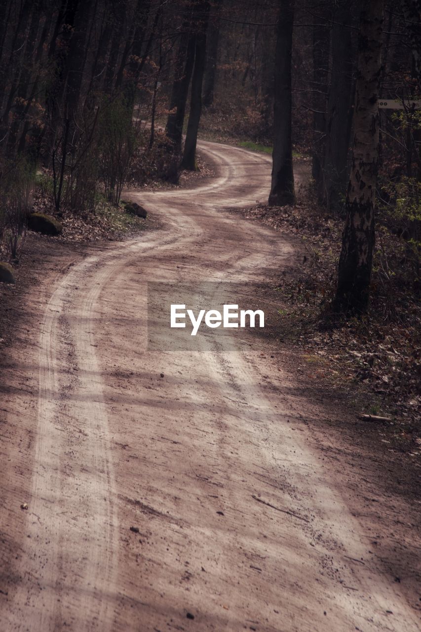 Dirt road amidst trees in forest