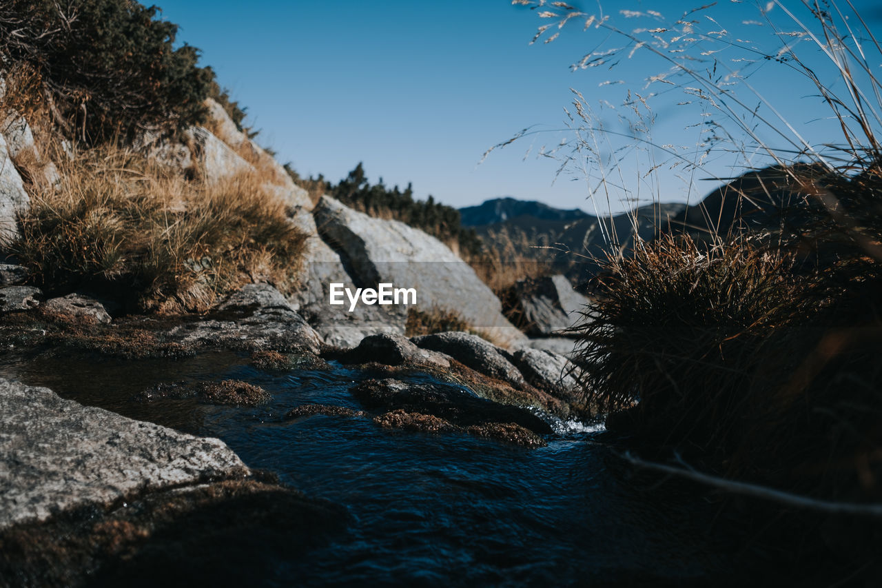 Scenic view of river against clear sky