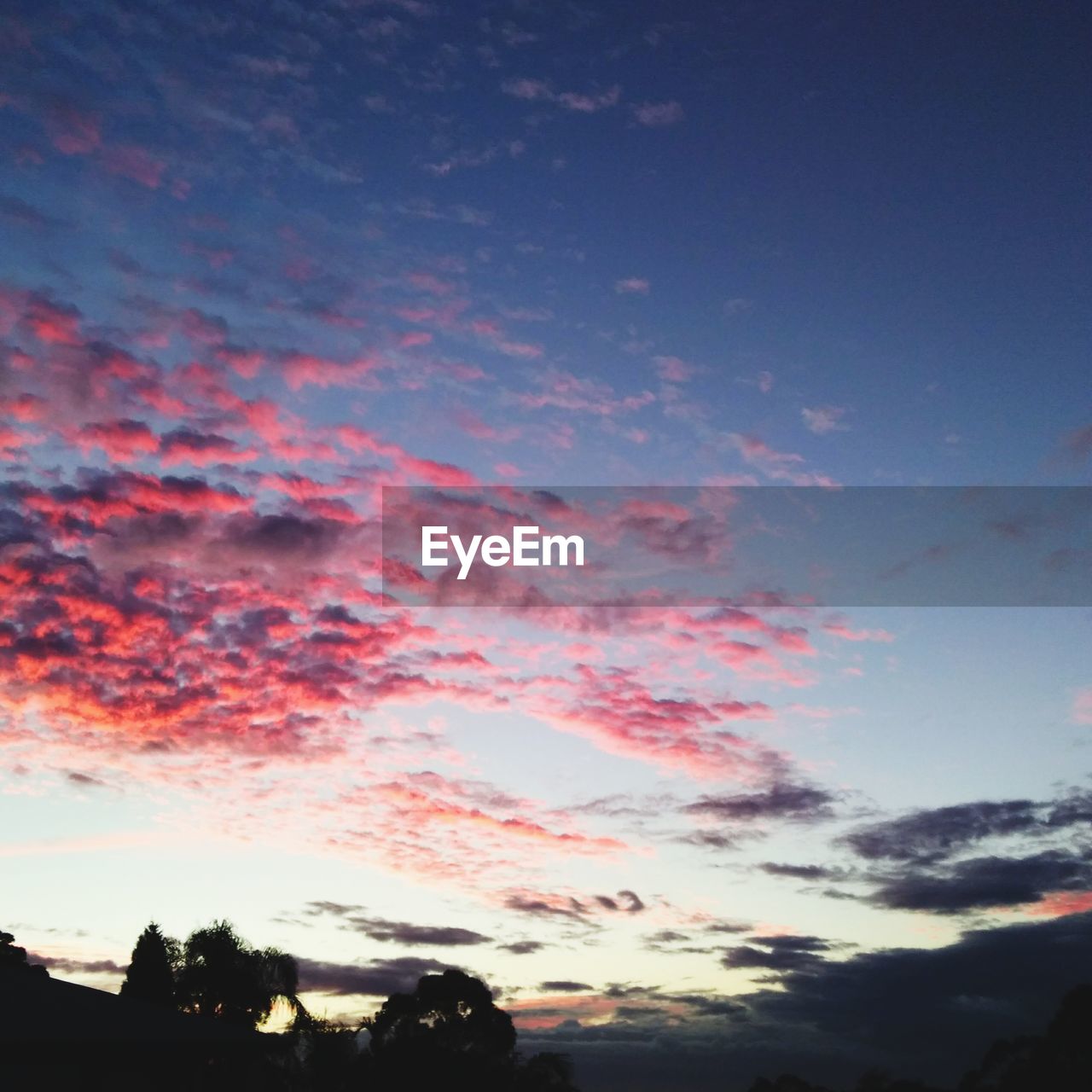 LOW ANGLE VIEW OF SILHOUETTE TREES AGAINST ROMANTIC SKY