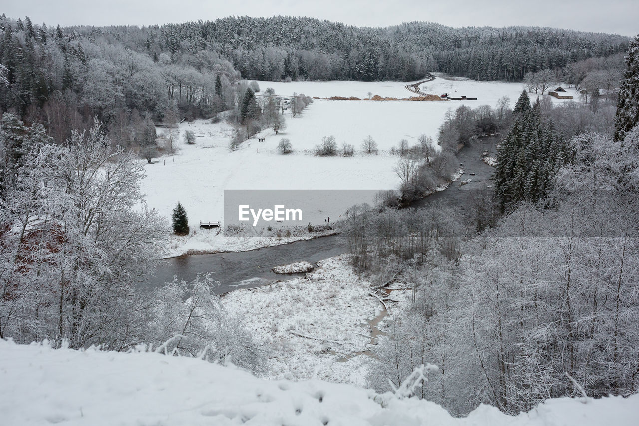 SNOW COVERED PLANTS BY LAKE