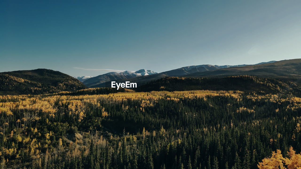 SCENIC VIEW OF LAND AGAINST CLEAR SKY