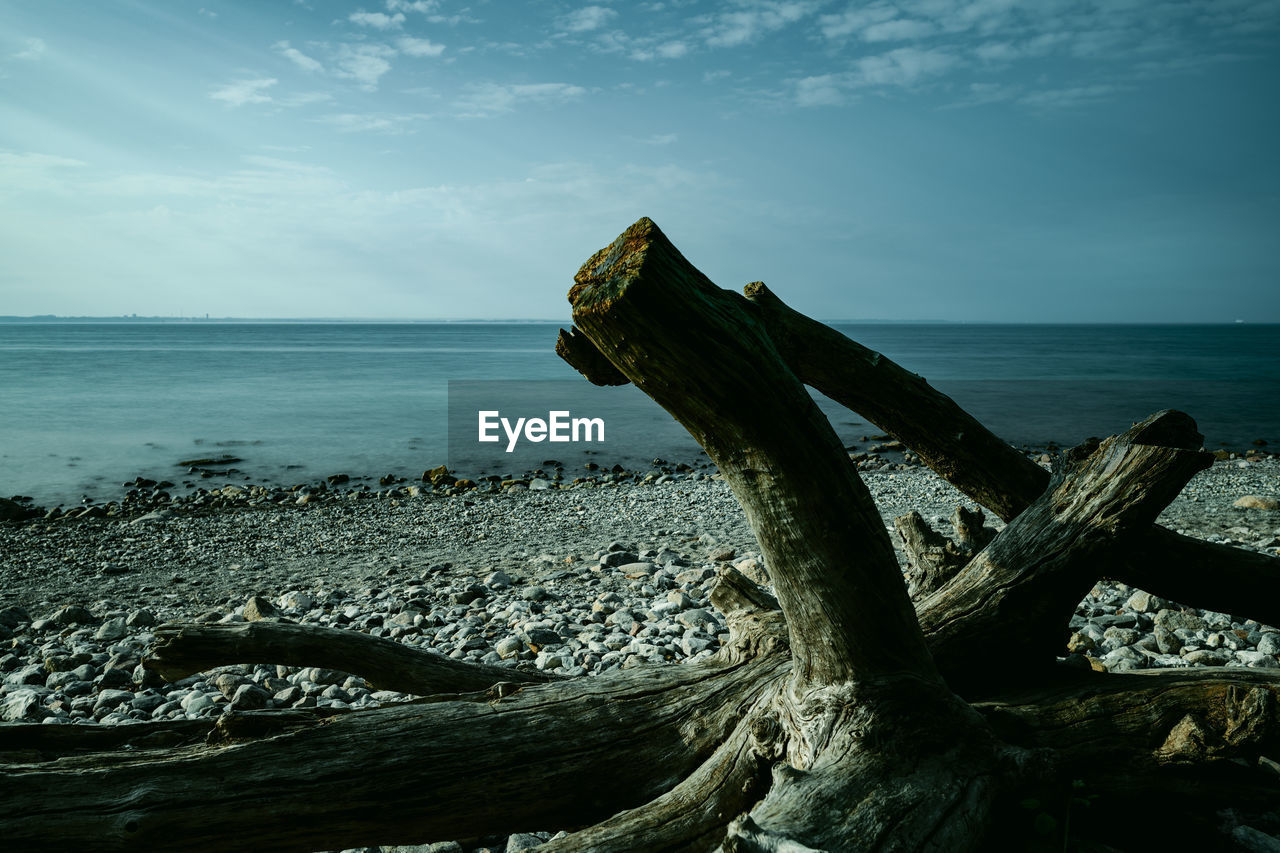 sea, water, ocean, sky, rock, horizon over water, land, horizon, beach, coast, nature, wave, shore, scenics - nature, driftwood, beauty in nature, tranquility, no people, cloud, tranquil scene, day, wood, reflection, sunlight, outdoors, body of water, non-urban scene, tree, idyllic