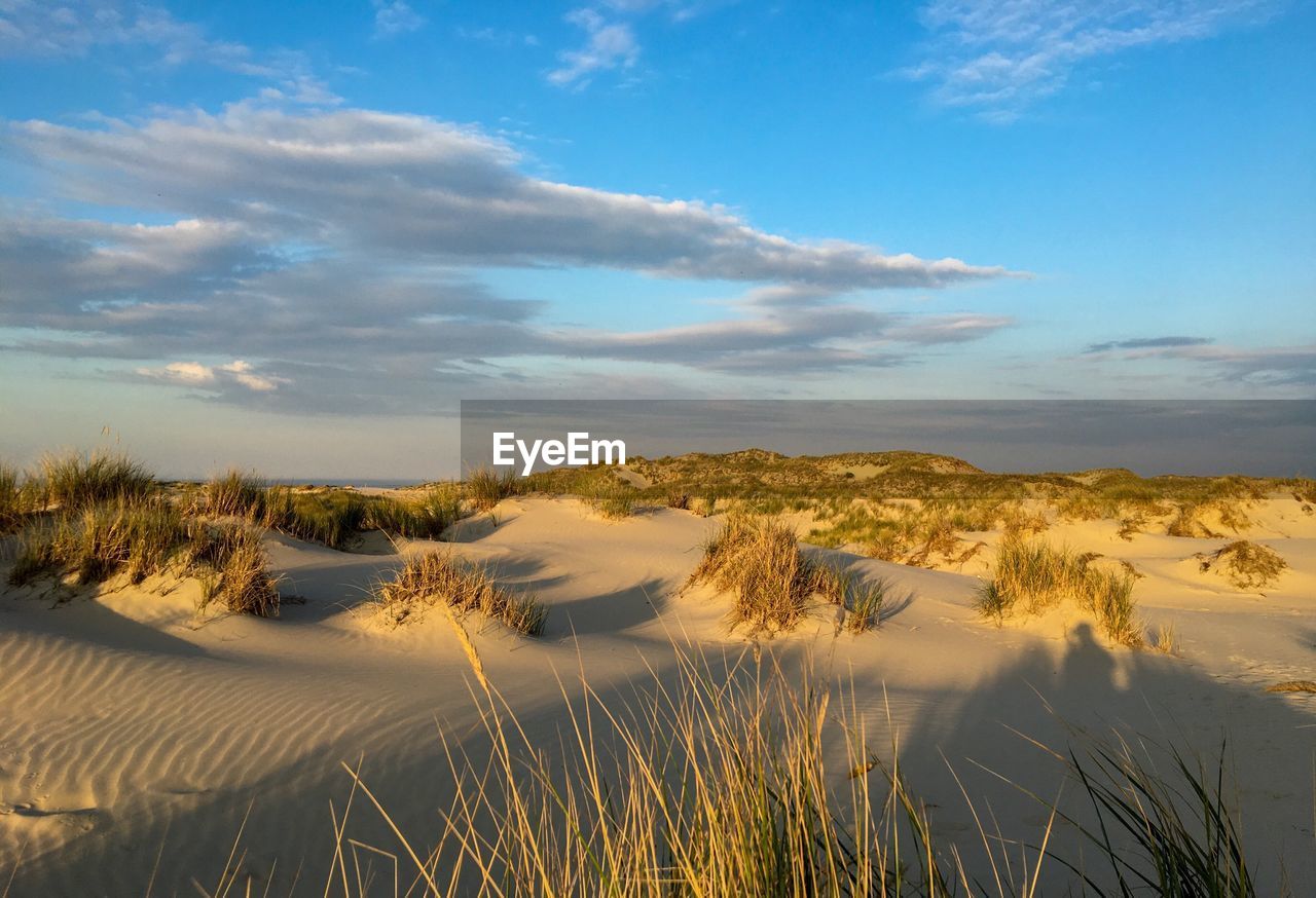 Scenic view of land against sky