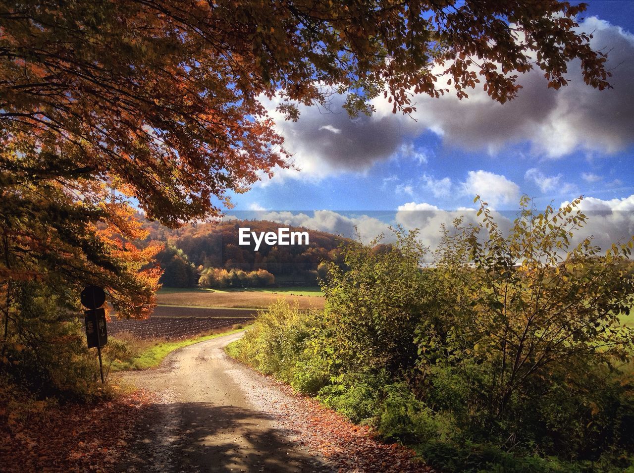 Dirt road in autumn