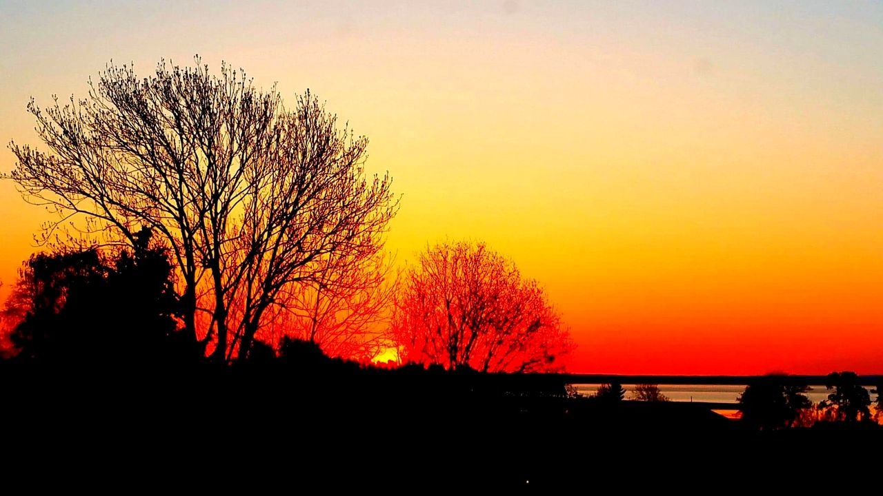 SILHOUETTE BARE TREE AGAINST ORANGE SKY