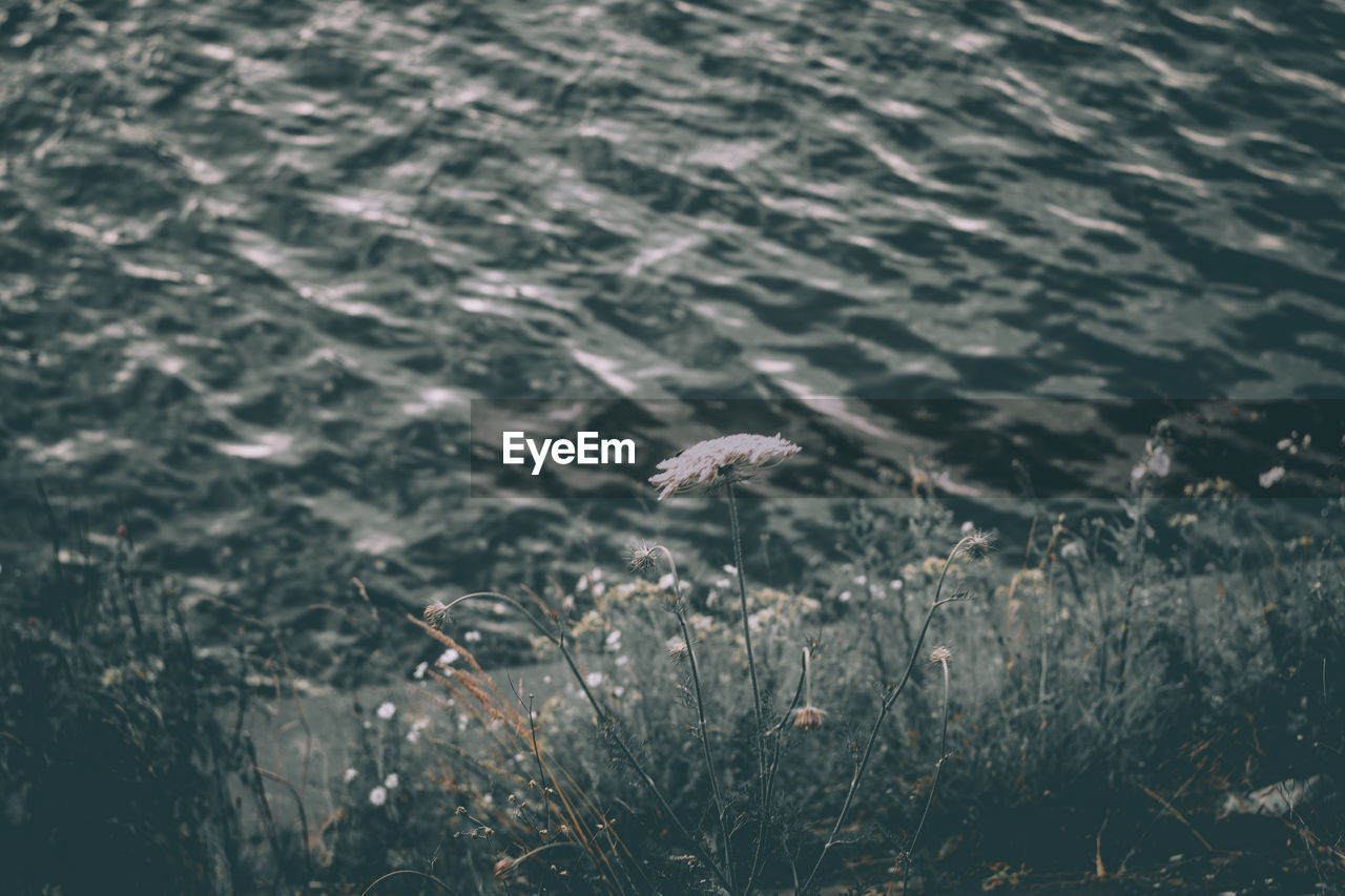 High angle view of water on sea shore