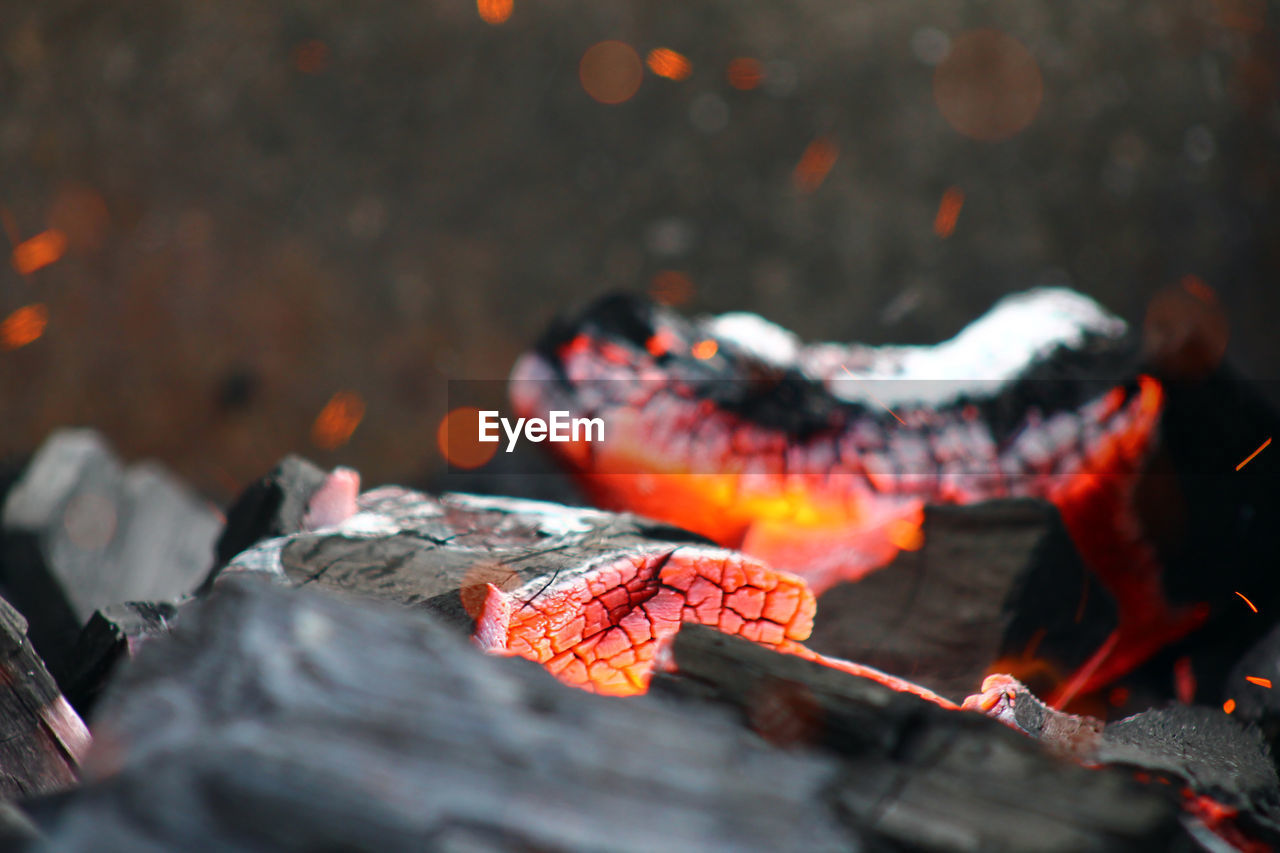 Close-up of burning coal