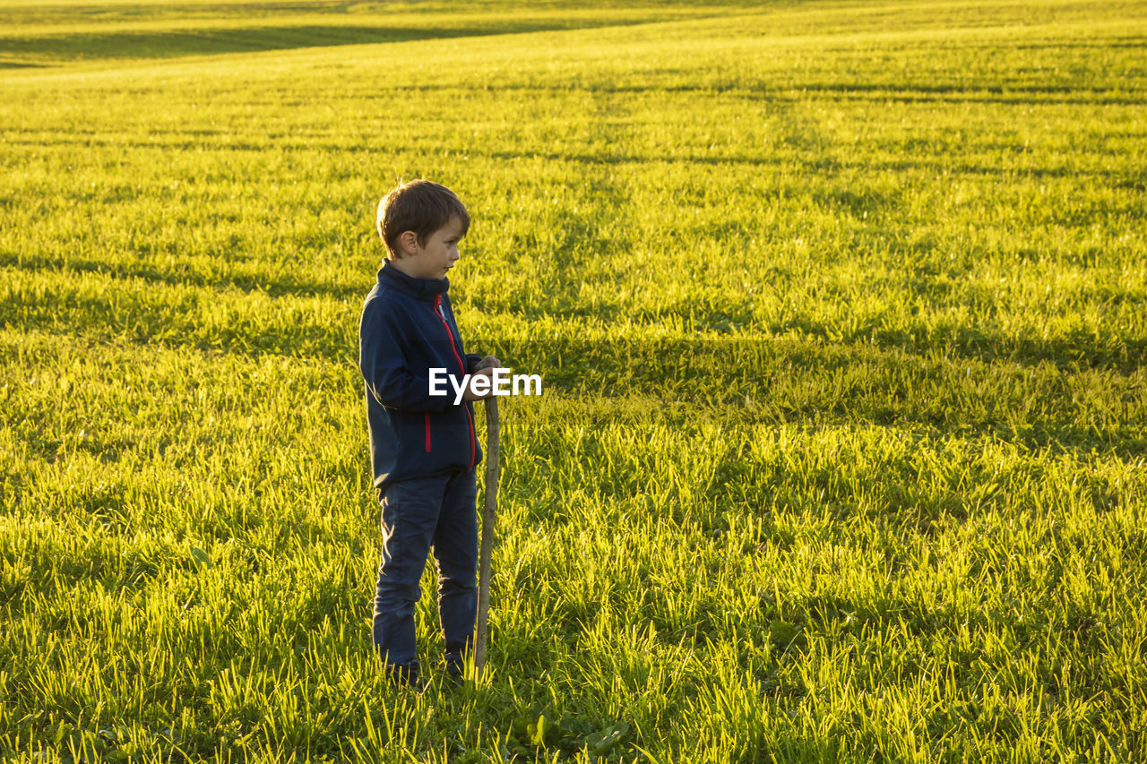 Boy holding stick while standing on grassy land