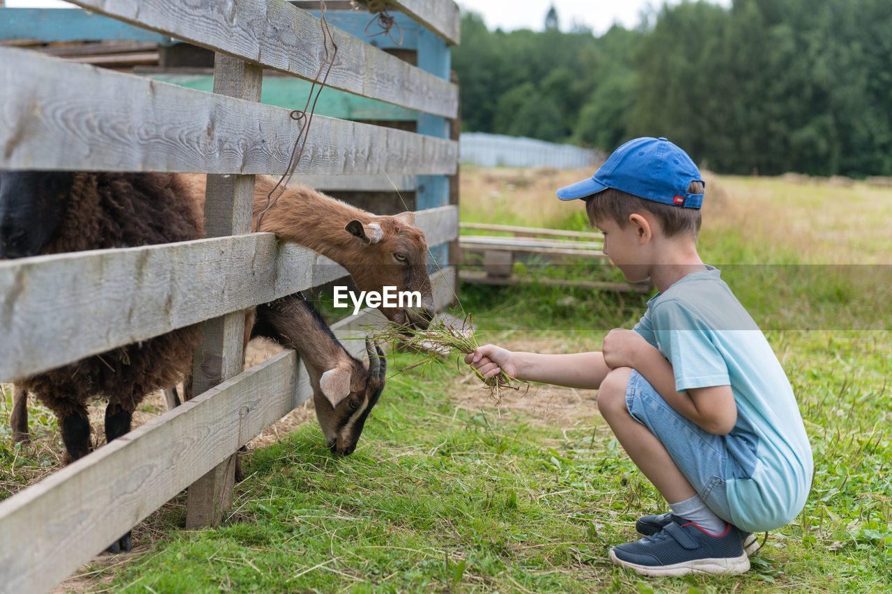 Side view of boy feeding goat at farm