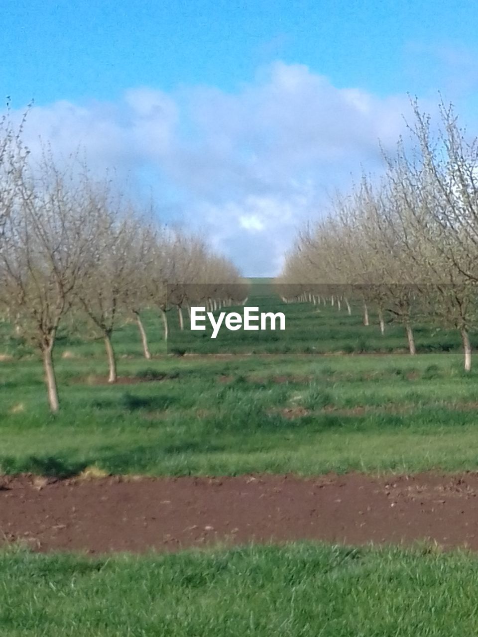 VIEW OF LANDSCAPE AGAINST SKY