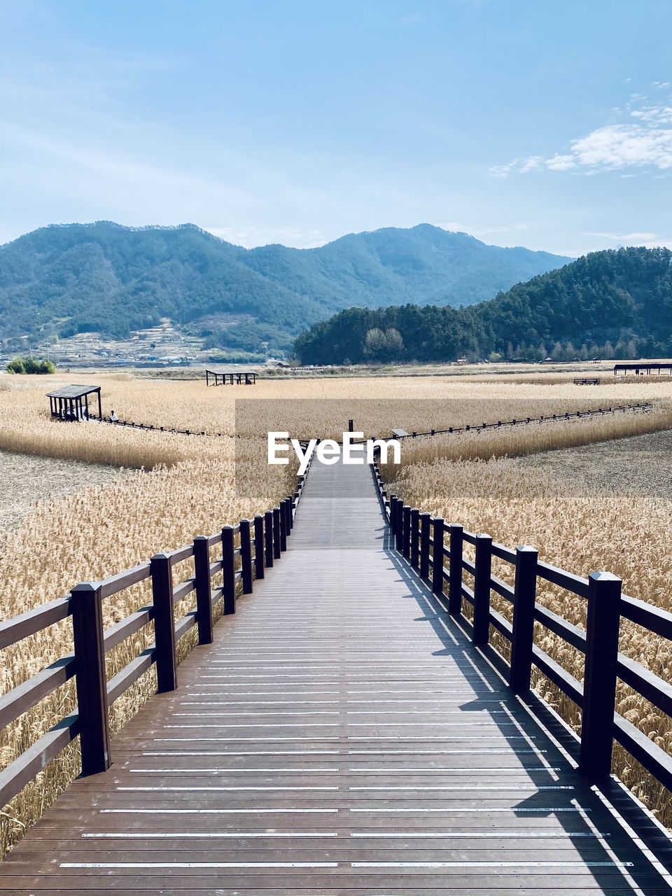 View of wooden walkway leading towards wetlands and mountains