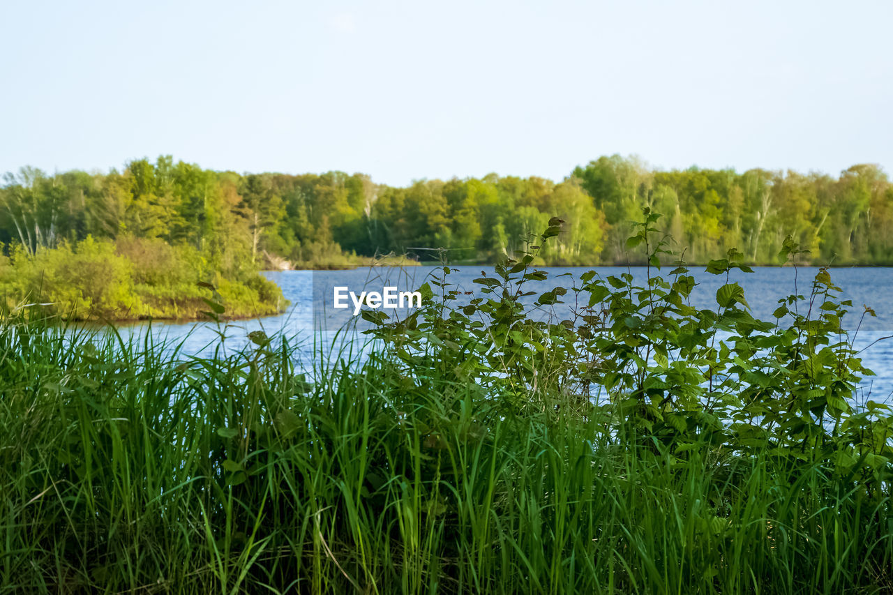 SCENIC VIEW OF LAKE AND TREES AGAINST SKY
