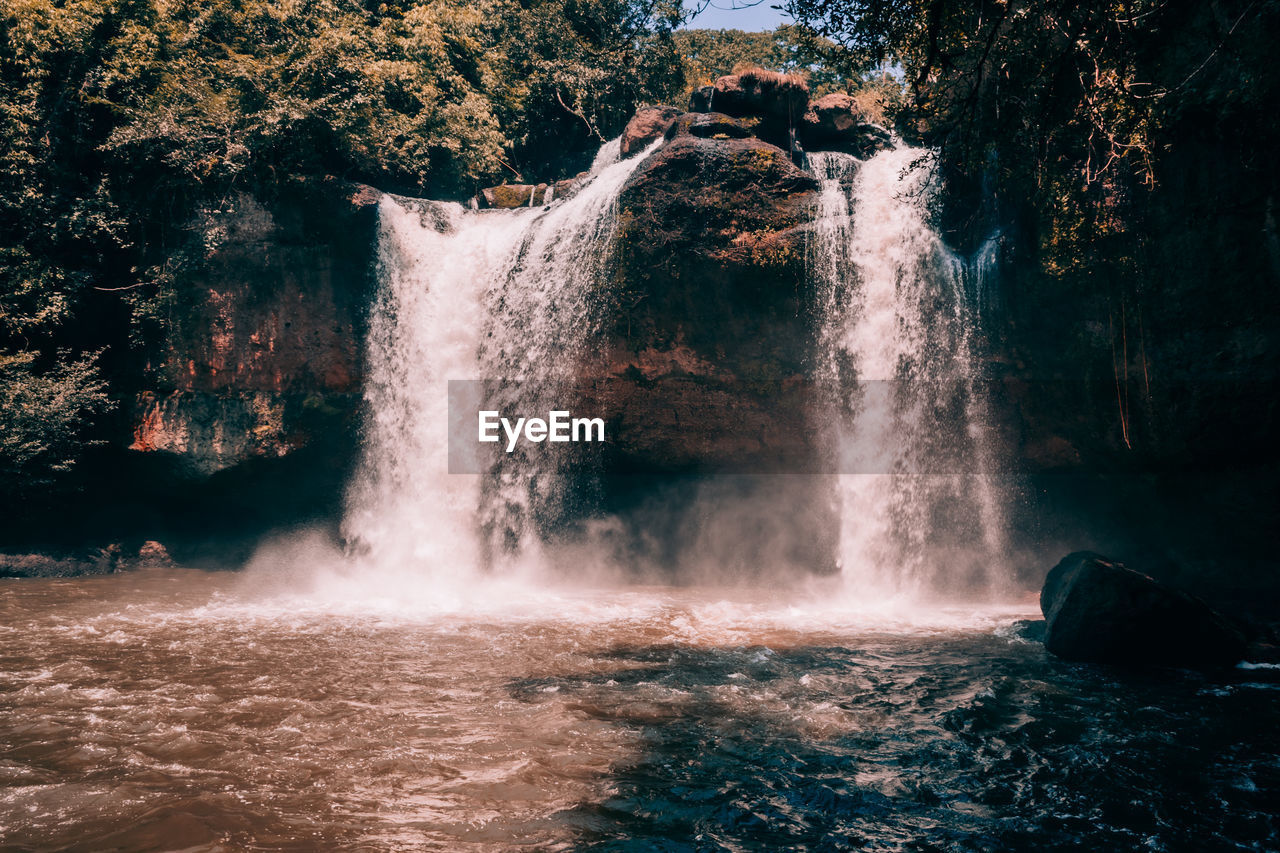 Scenic view of waterfall in forest