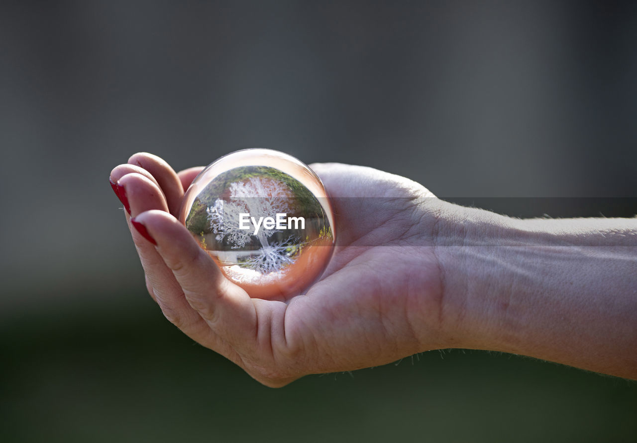 cropped hand holding crystal ball against blurred background