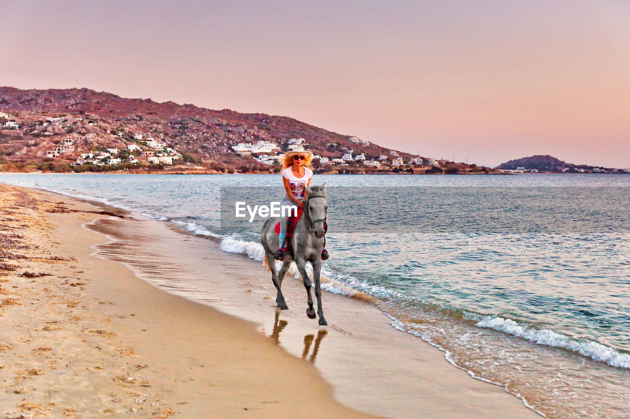 DOG STANDING ON BEACH