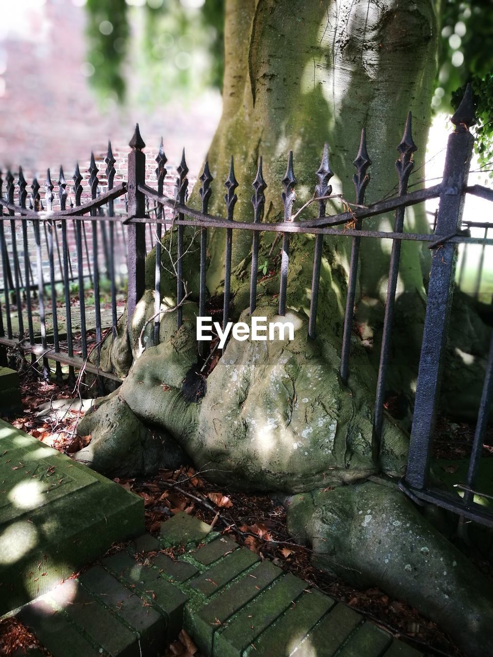 CLOSE-UP OF A FENCE IN A ROW