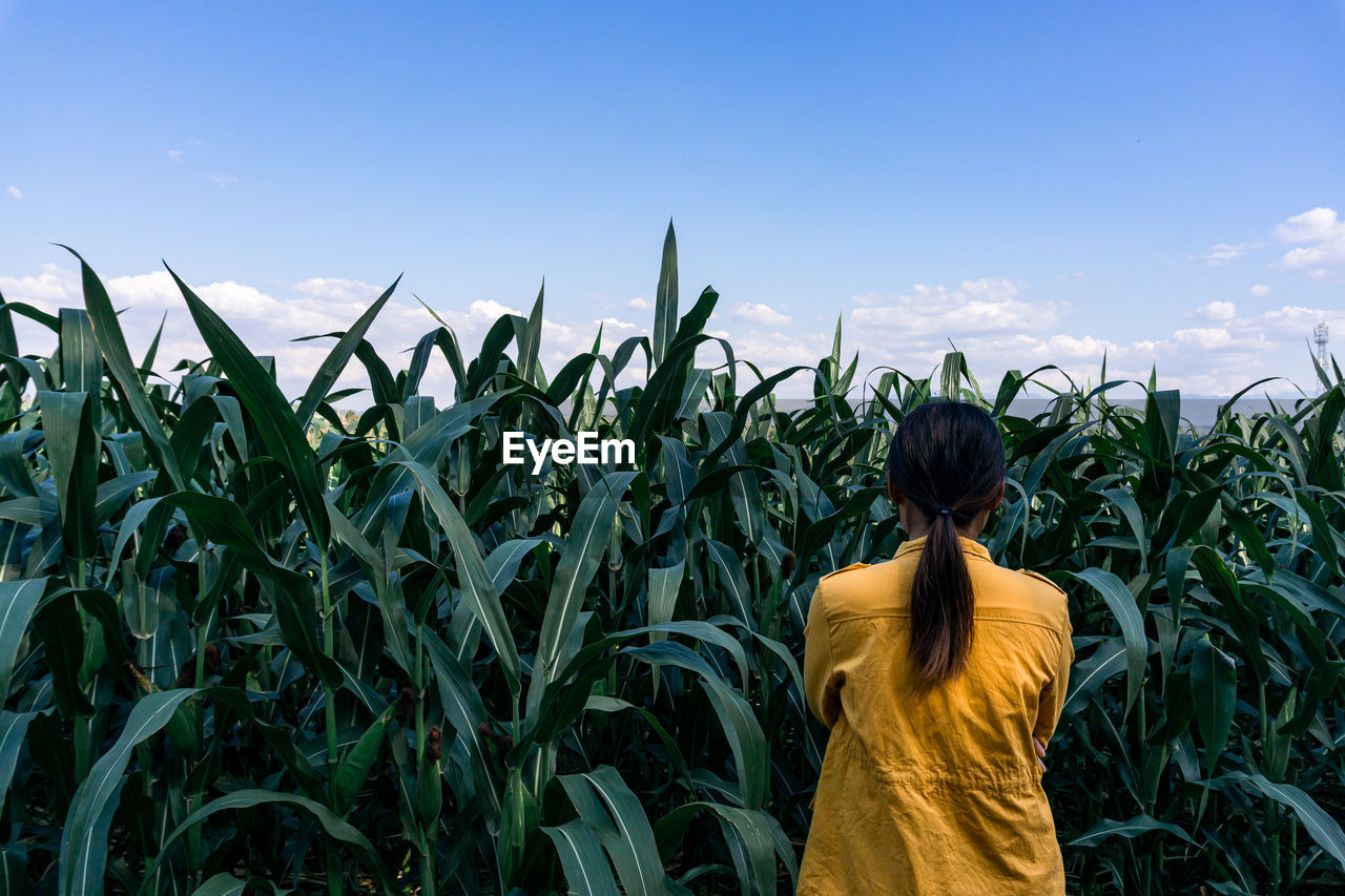 Rear view of woman standing in farm against sky