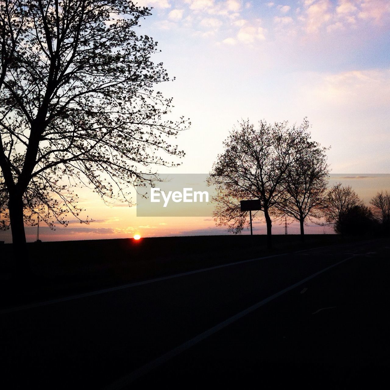 SILHOUETTE OF TREES ON LANDSCAPE AT SUNSET