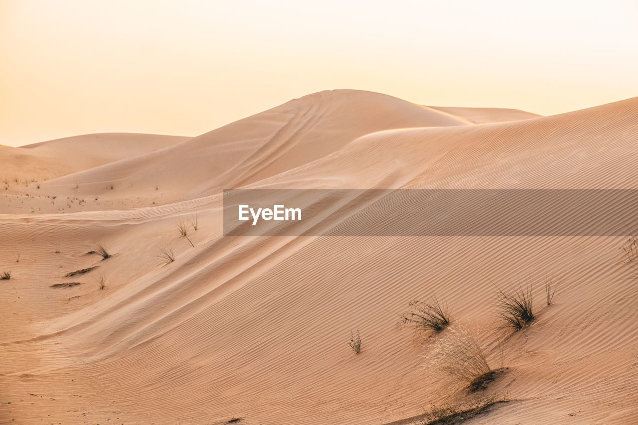 Scenic view of desert against sky