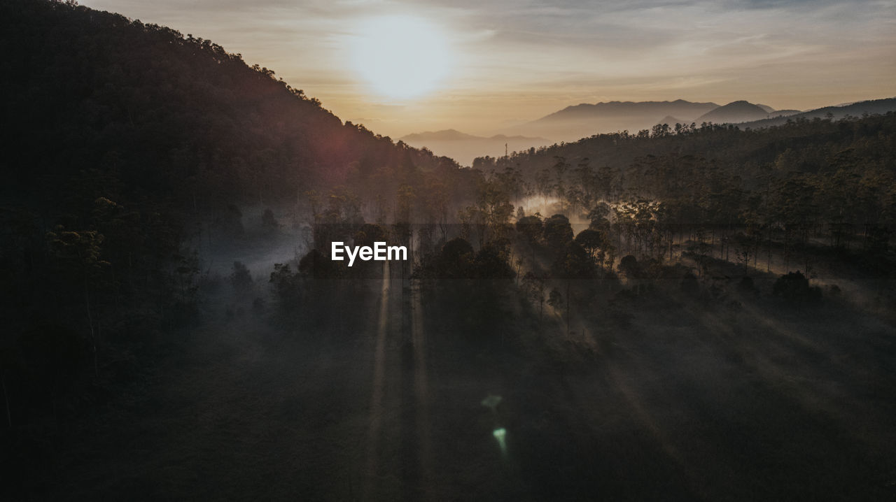 Sunlight streaming through trees on mountain against sky during sunset