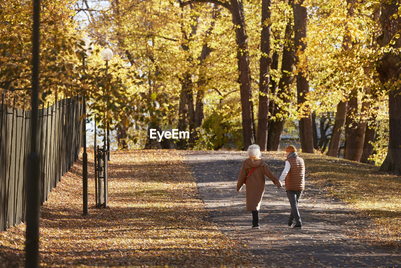 Senior couple walking in autumn park