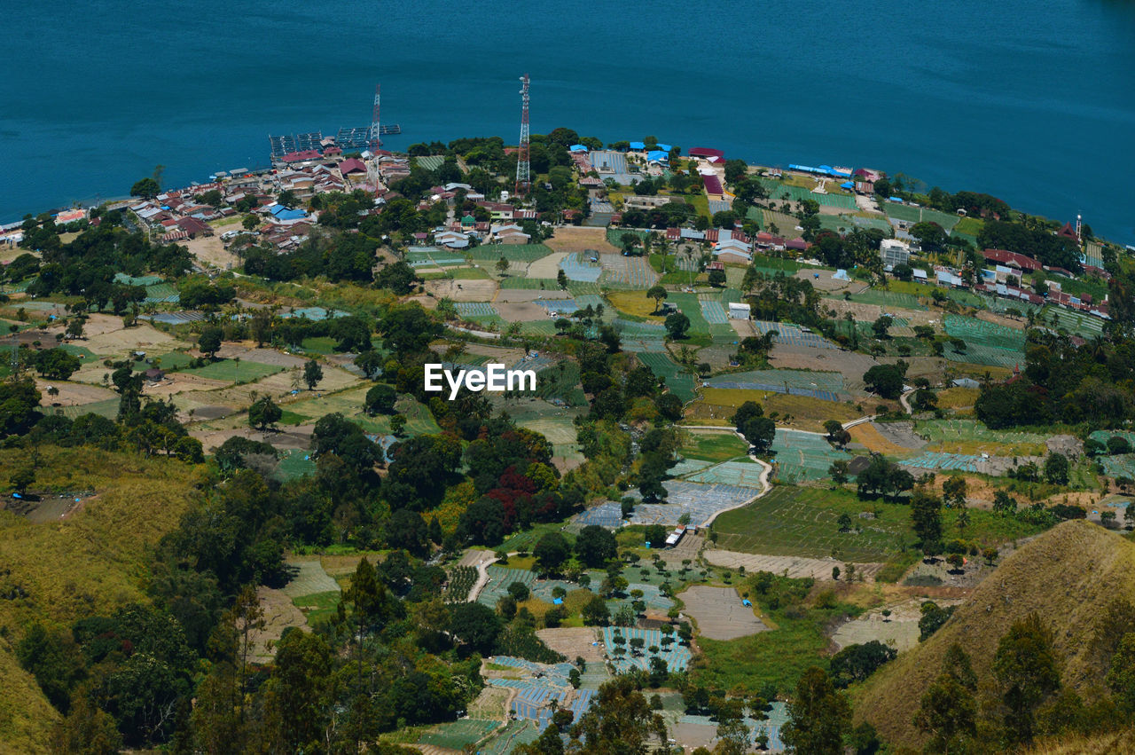 High angle view of buildings and trees in city