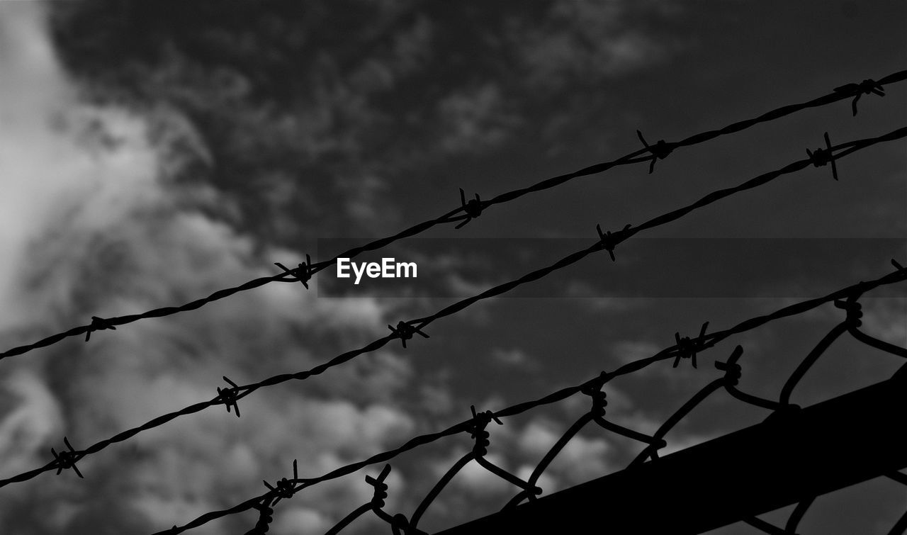 CLOSE-UP OF BARBED WIRE ON BARBED WIRE