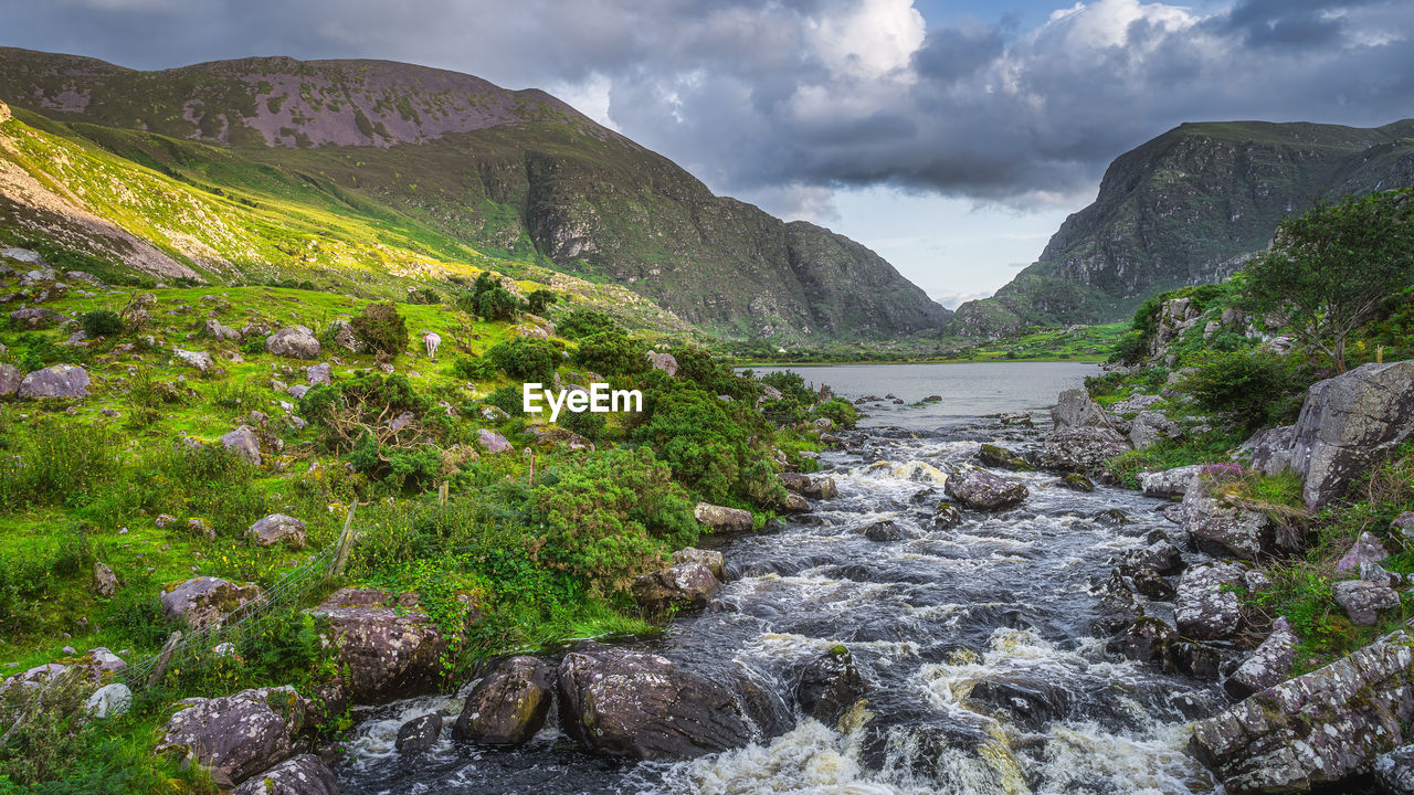 Mountain river flowing from black lake, gap of dunloe. green hills at sunset in black valley ireland