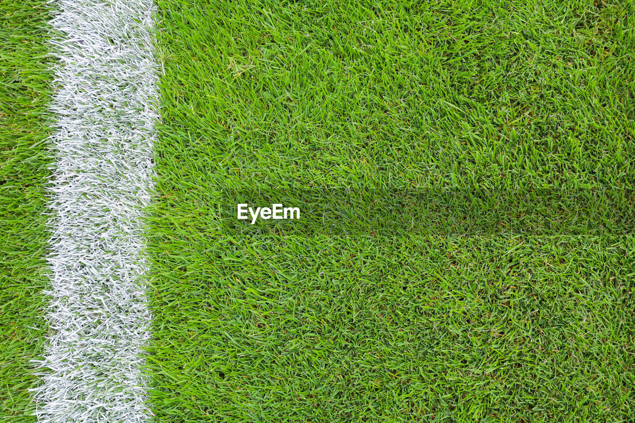 HIGH ANGLE VIEW OF SOCCER FIELD IN LAWN