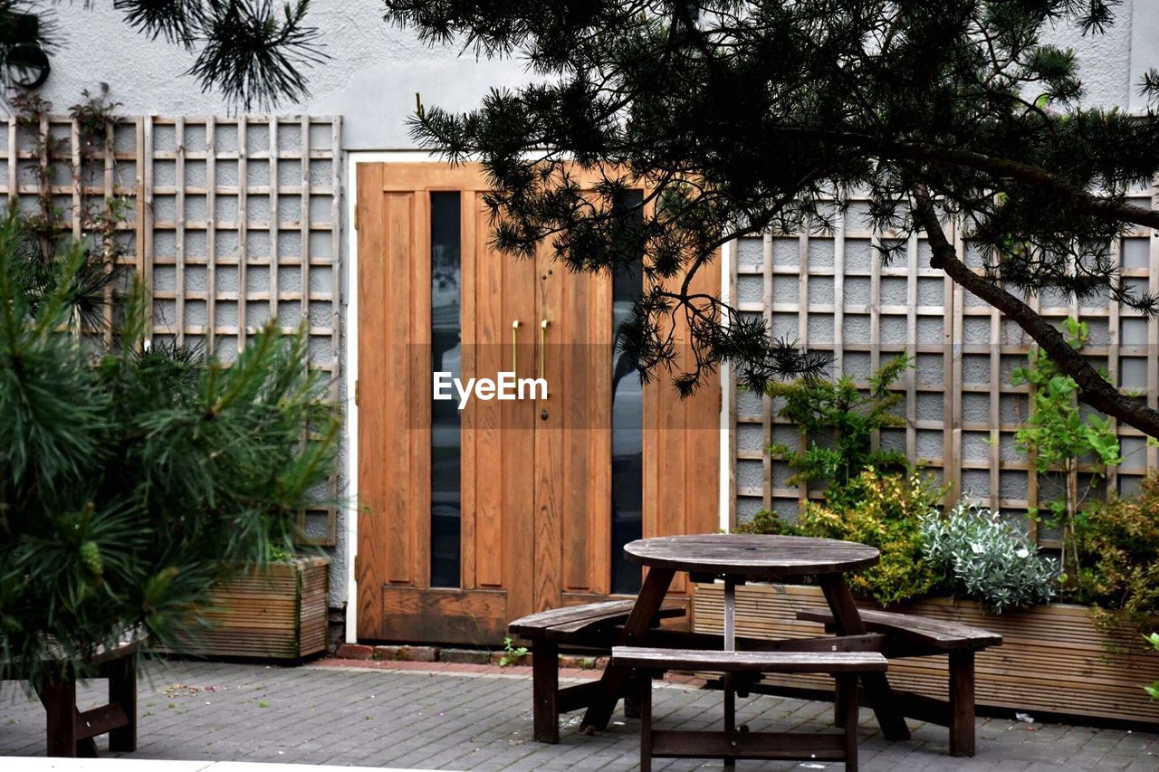 POTTED PLANTS IN BACKYARD