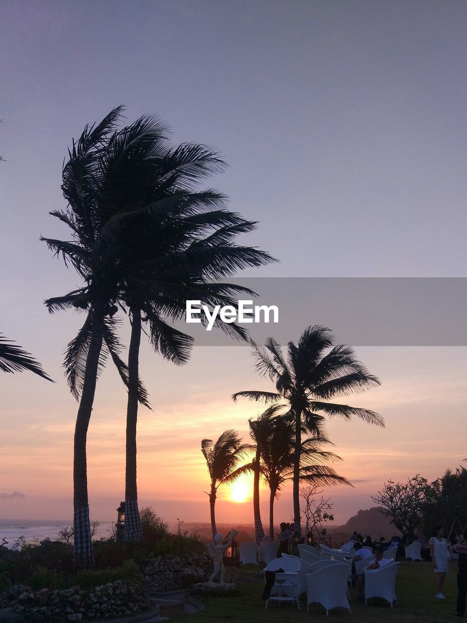 SILHOUETTE PALM TREE AGAINST SKY AT SUNSET