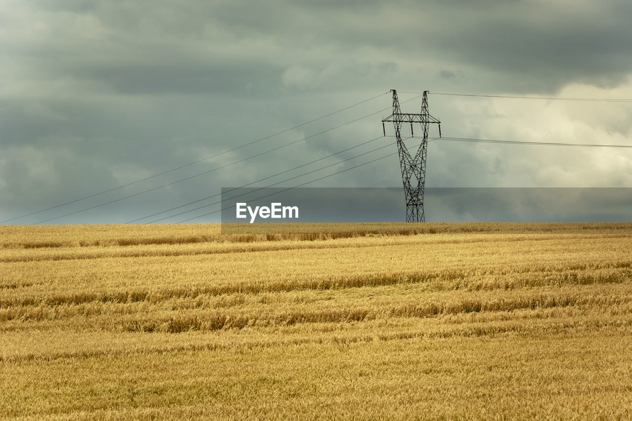 Golden field with grain, electric pole and rainy clouds on the sky