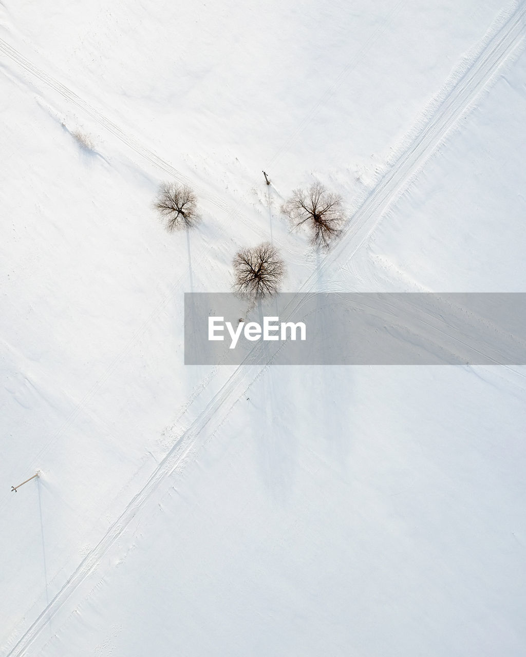 HIGH ANGLE VIEW OF SPIDER ON FROZEN PLANT