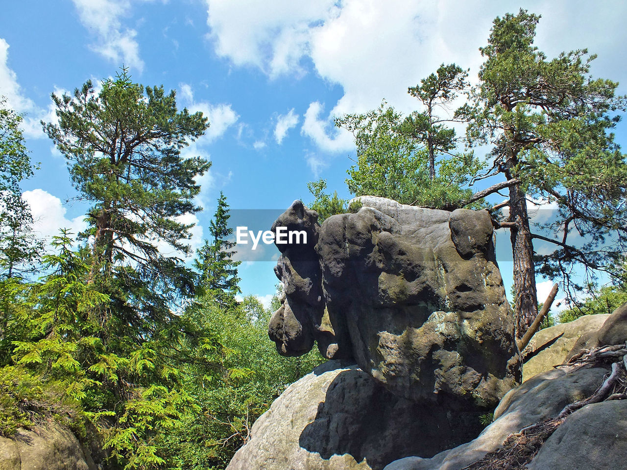 LOW ANGLE VIEW OF STATUE AGAINST TREES AND SKY