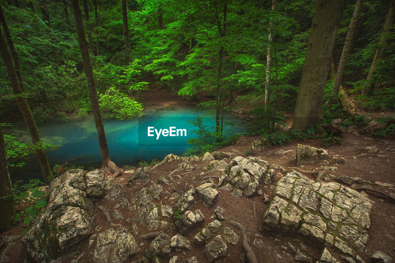 Landscape of the wild natural park of cheile nerei with its lakes, waterfalls and water streams